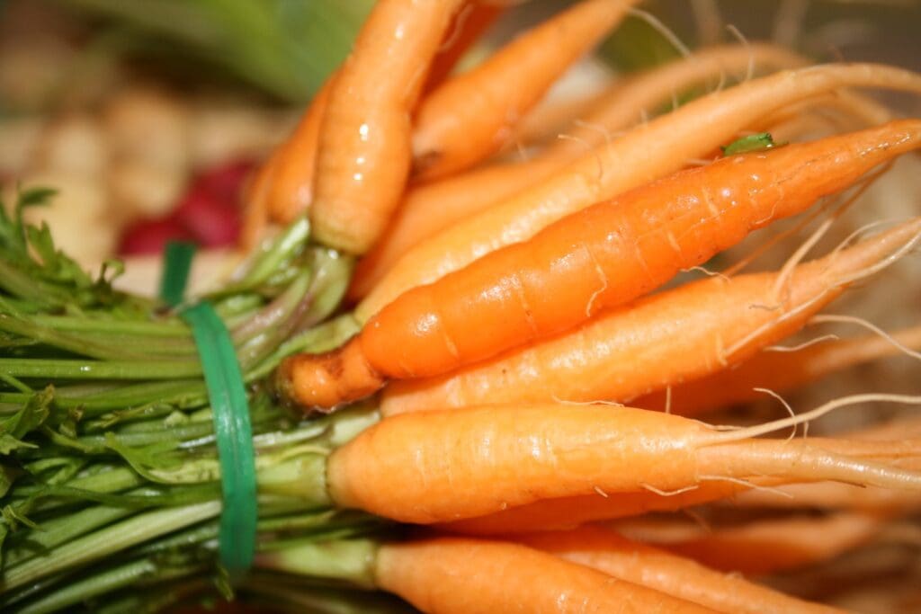 A close up of carrots and radishes.