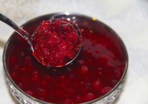 A spoonful of cranberry sauce in a silver bowl.