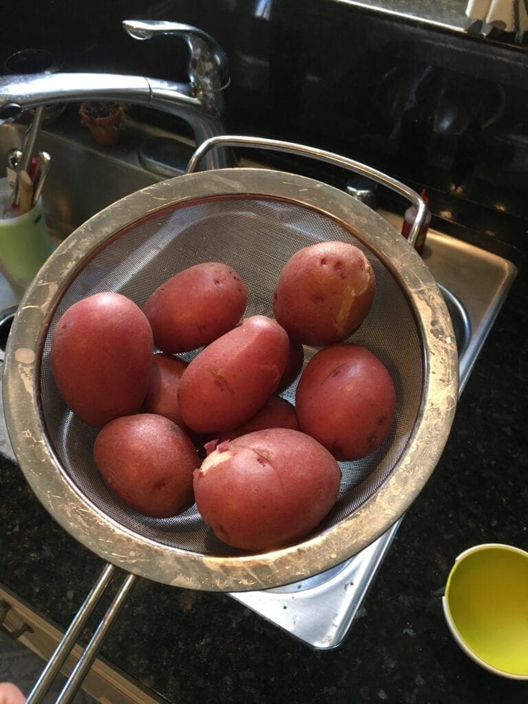 In Oklahoma, a person is holding a strainer filled with red-skinned potatoes.