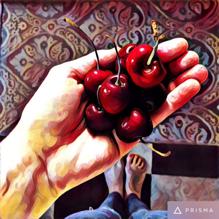 A hand holding cherries.