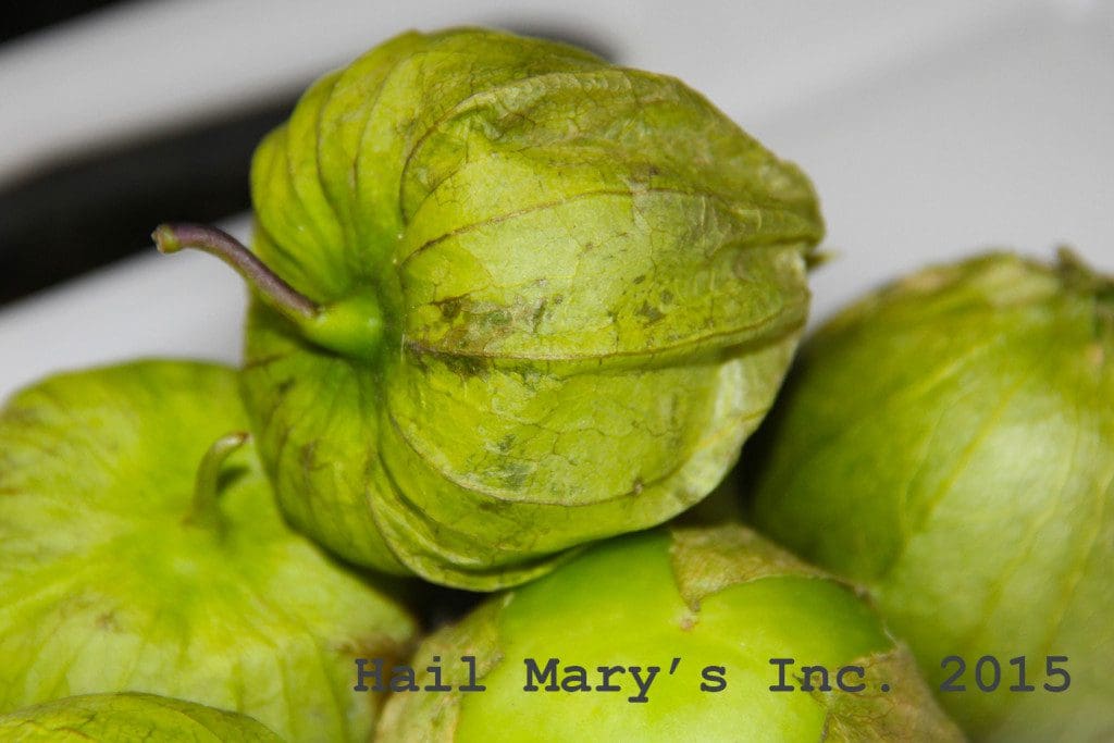 Ingredient Of The Day Archives - Hail Mary Food of Grace
