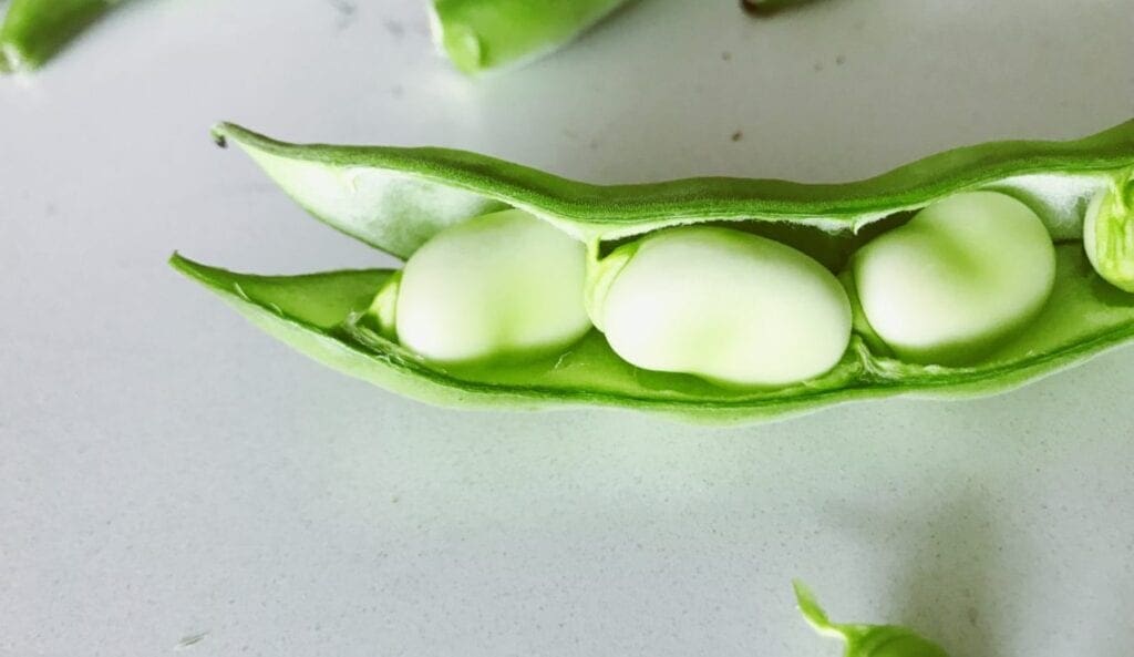 an opened pea