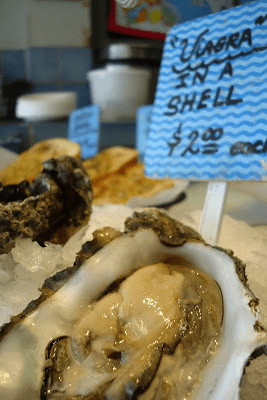 Oysters in a shell at a seafood market.