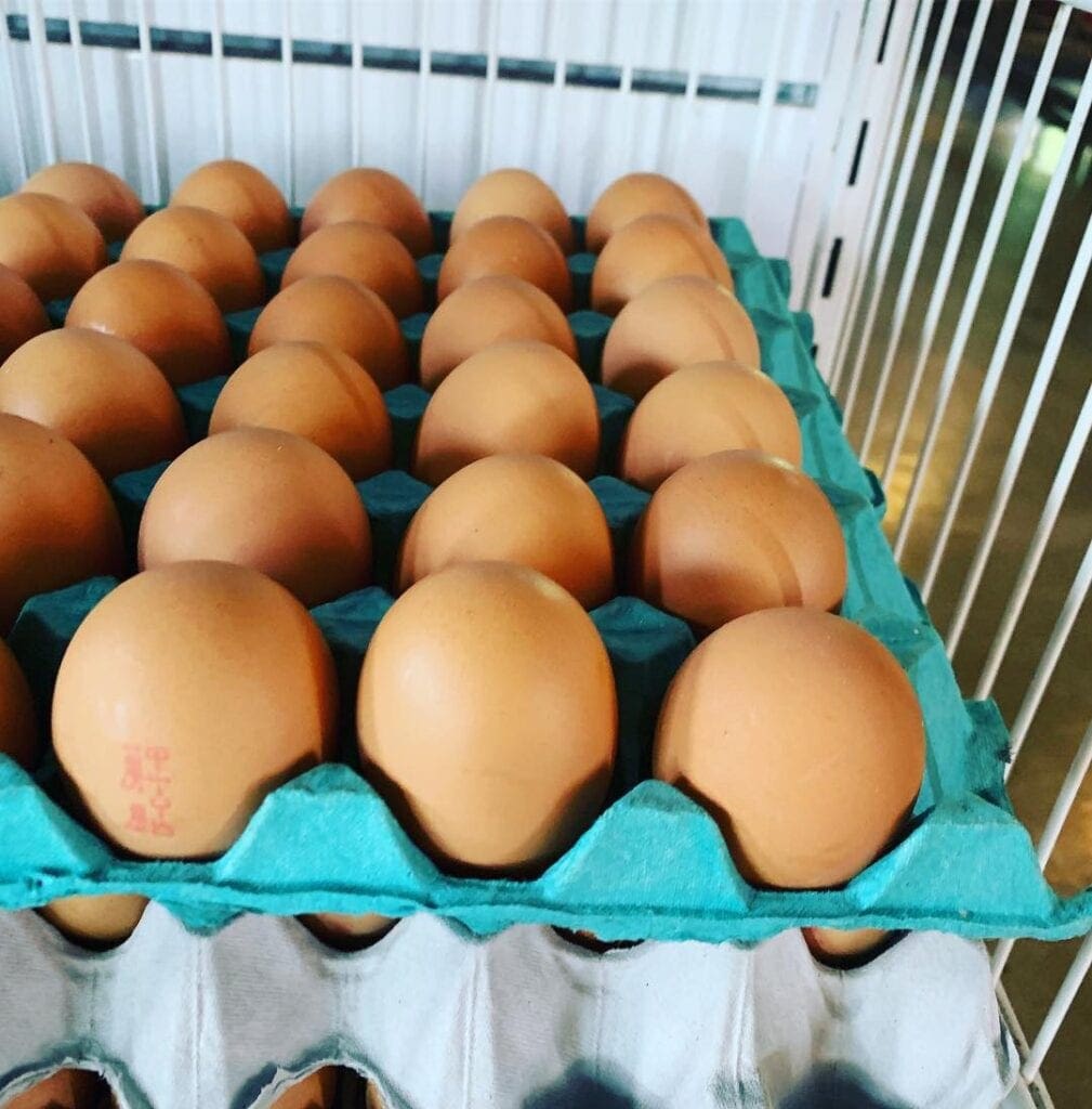 trays of eggs