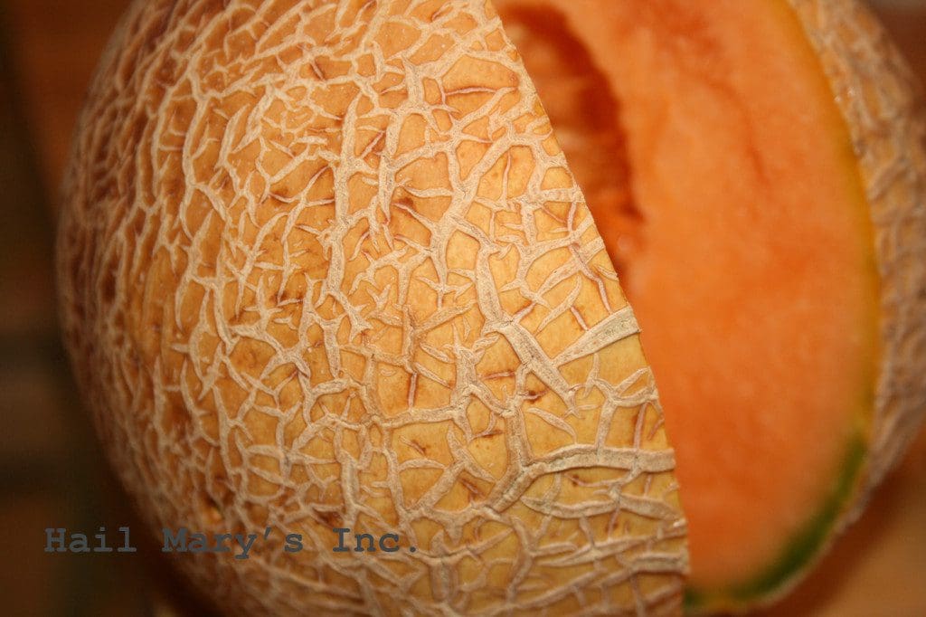 a cantaloupe with one slice out