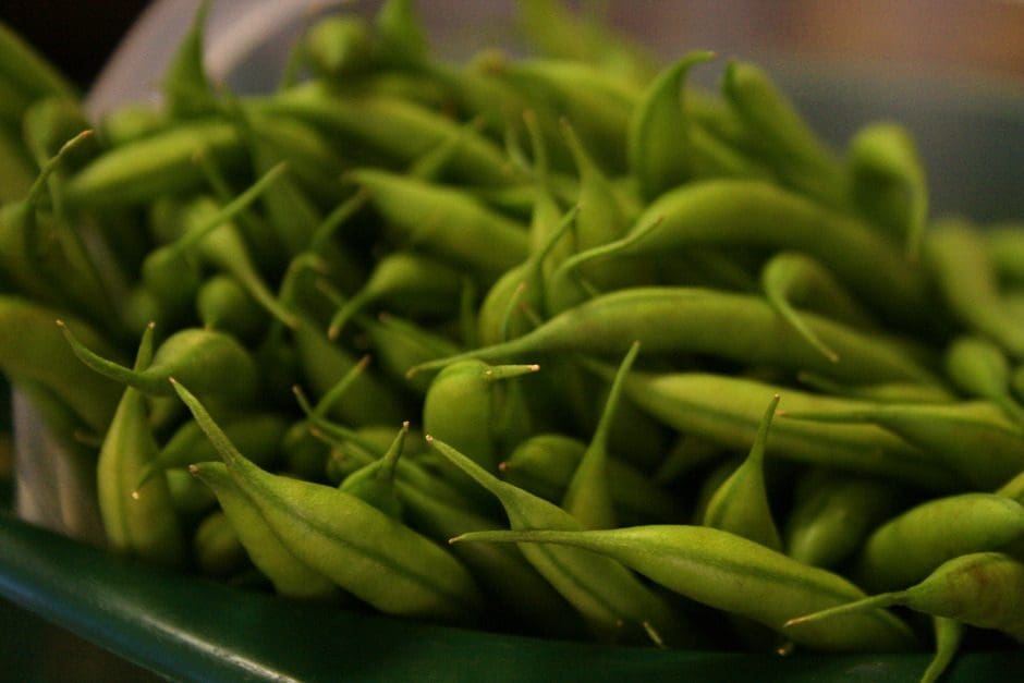 Green beans in a bowl on a table.