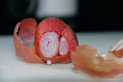 A piece of onion is cut in half on a cutting board.