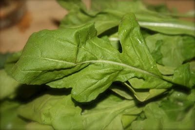 A close up of a bunch of green leafy vegetables.