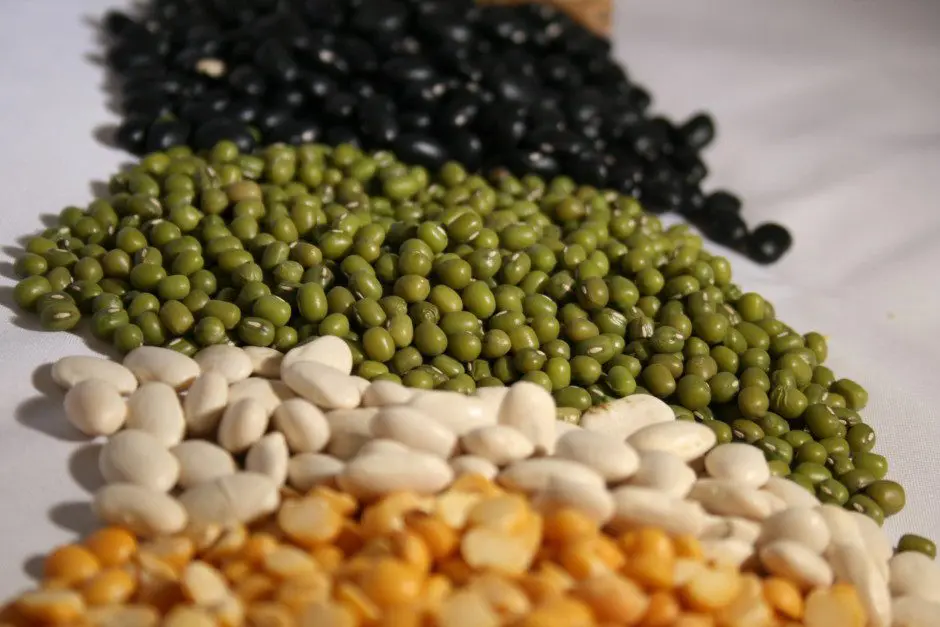 A variety of beans and peas are arranged on a white surface.
