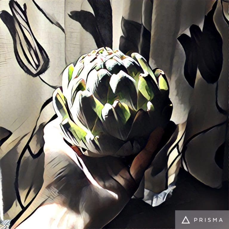 A hand holding an artichoke in front of a curtain.