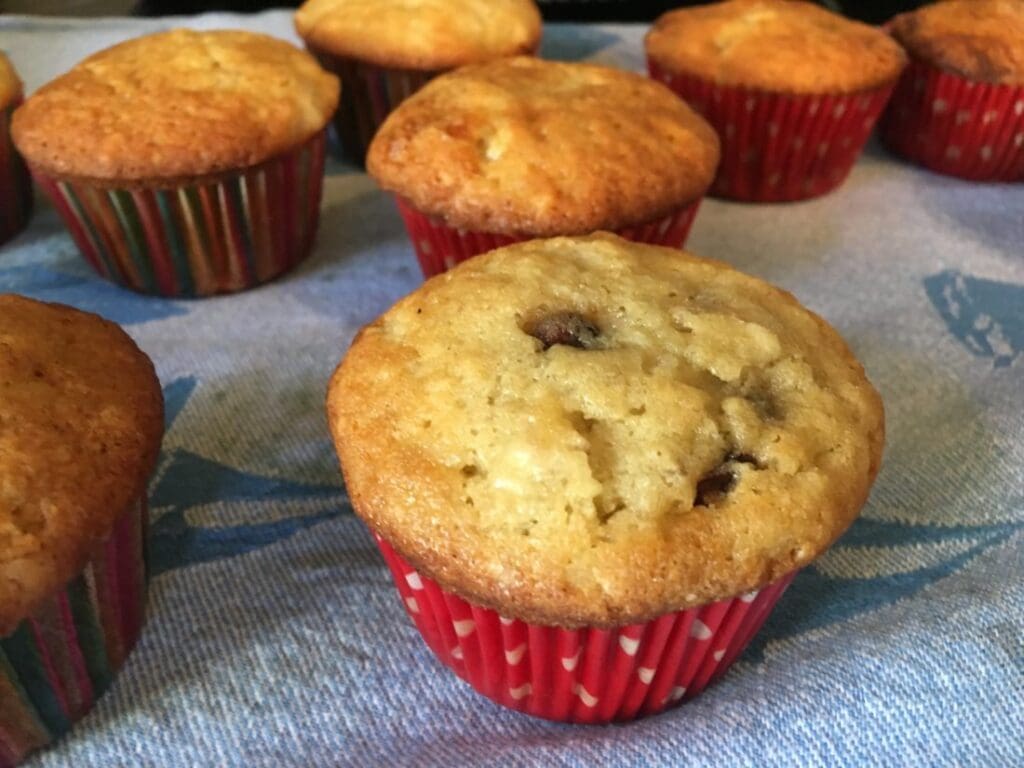 Muffins with chocolate chips on a blue cloth.