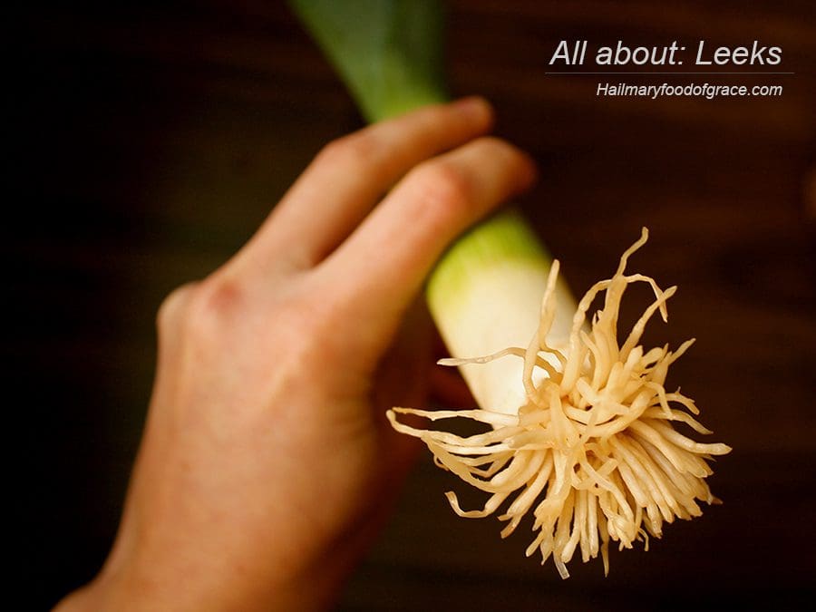 A hand holding an onion with the text all about leeks.