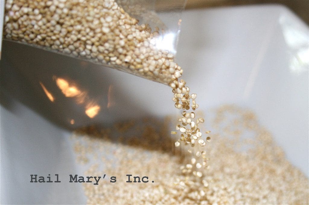 Hulled quinoa being poured into a bowl.