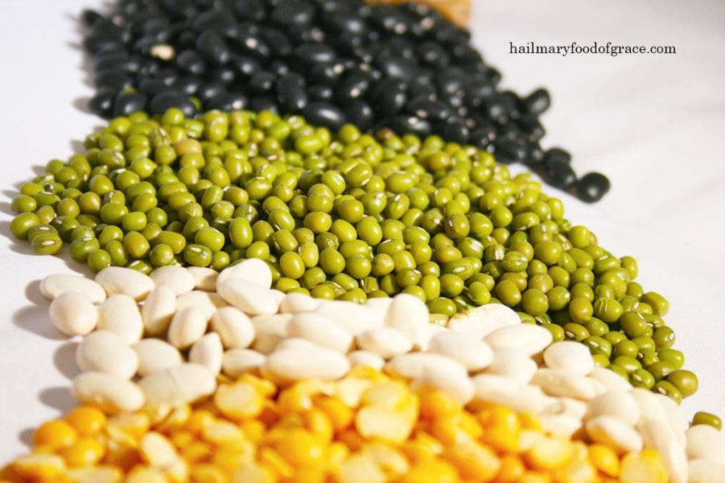 Different types of beans and corn on a white surface.