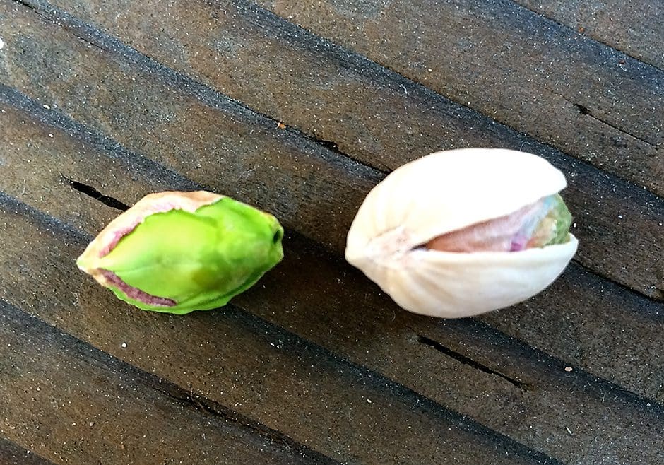 Two pistachios on a wooden table.