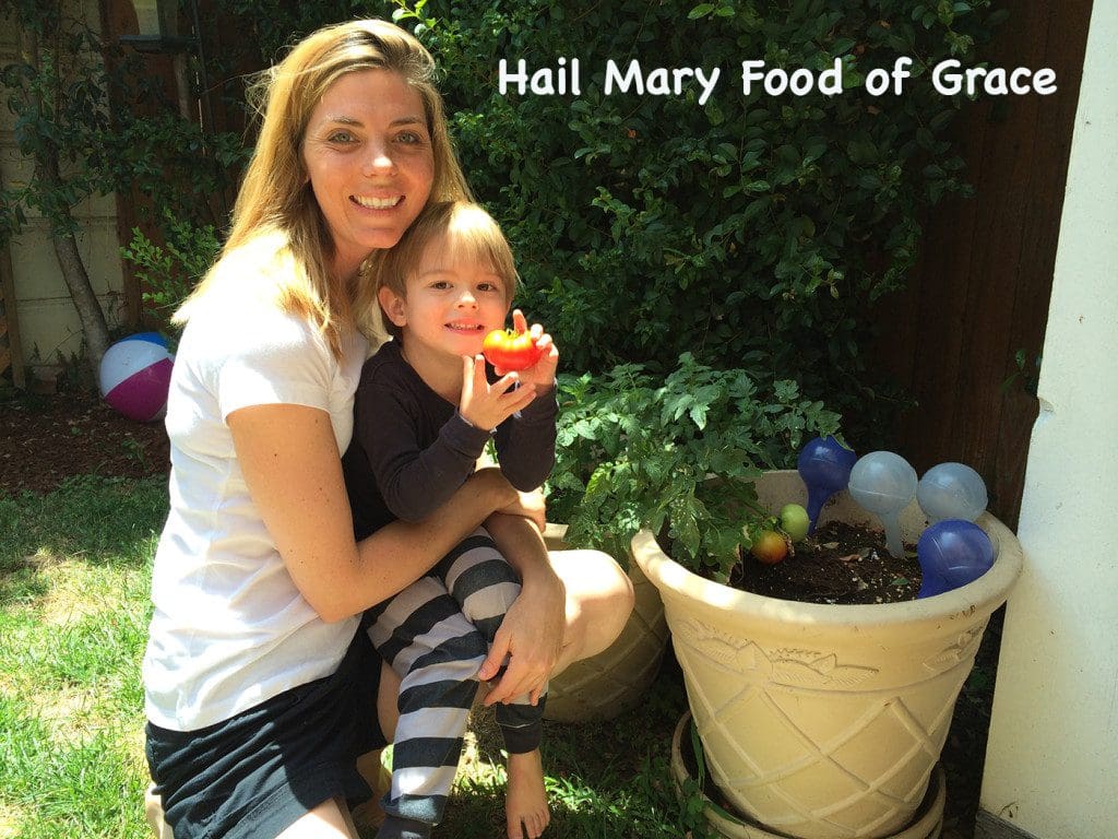 Hall mary food of grace.